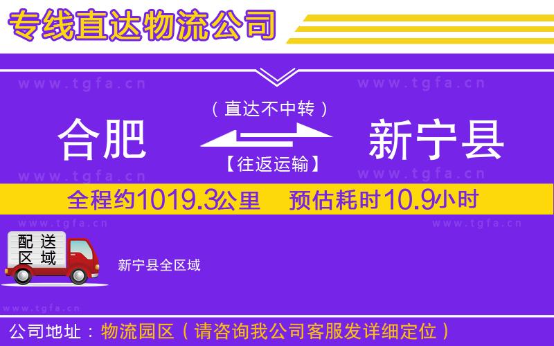 合肥到新寧縣物流公司