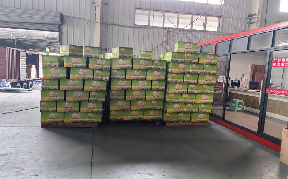 深圳到隴南武都區(qū)貨運(yùn)公司